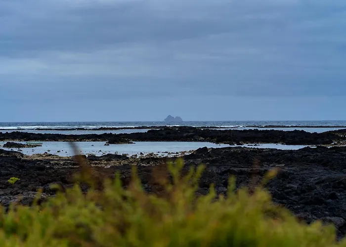 Daire Casa Salinas Playa *